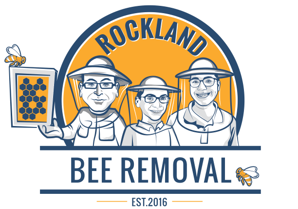 Rockland Bee Removal